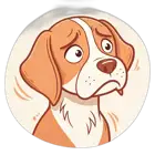 Anxious dog