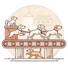 Assembly line grooming